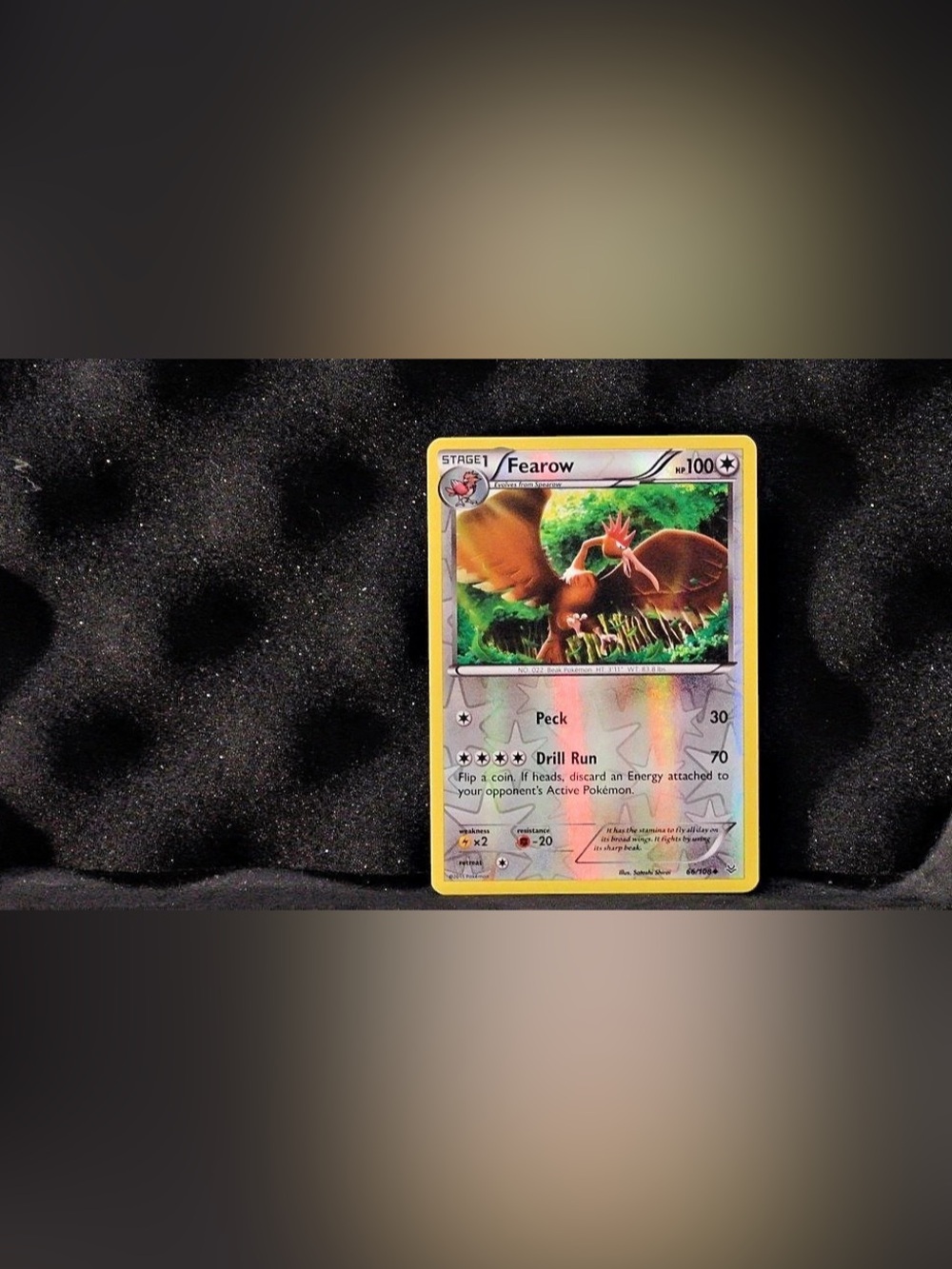 Pokémon Fearow - XY: Roaring Skies (66/108) Reverse Holofoil Card